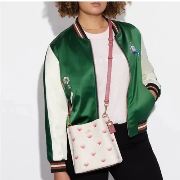 Coach Limited Edition Mollie Bucket Bag With Stripe Heart Print - Picture 1 of 15